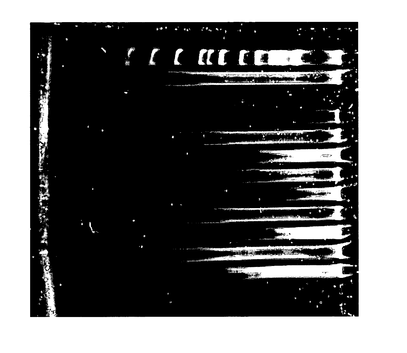 Methods for analysis of nucleic acid methylation status and methods for fragmentation, labeling and immobilization of nucleic acids