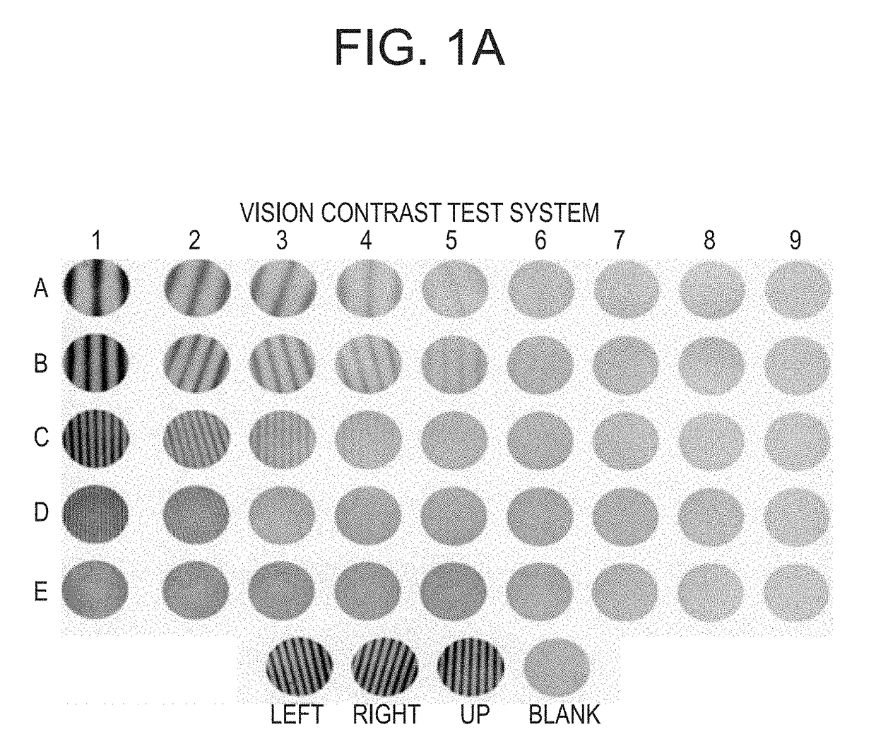 System and method for the rapid measurement of the visual contrast sensitivity function