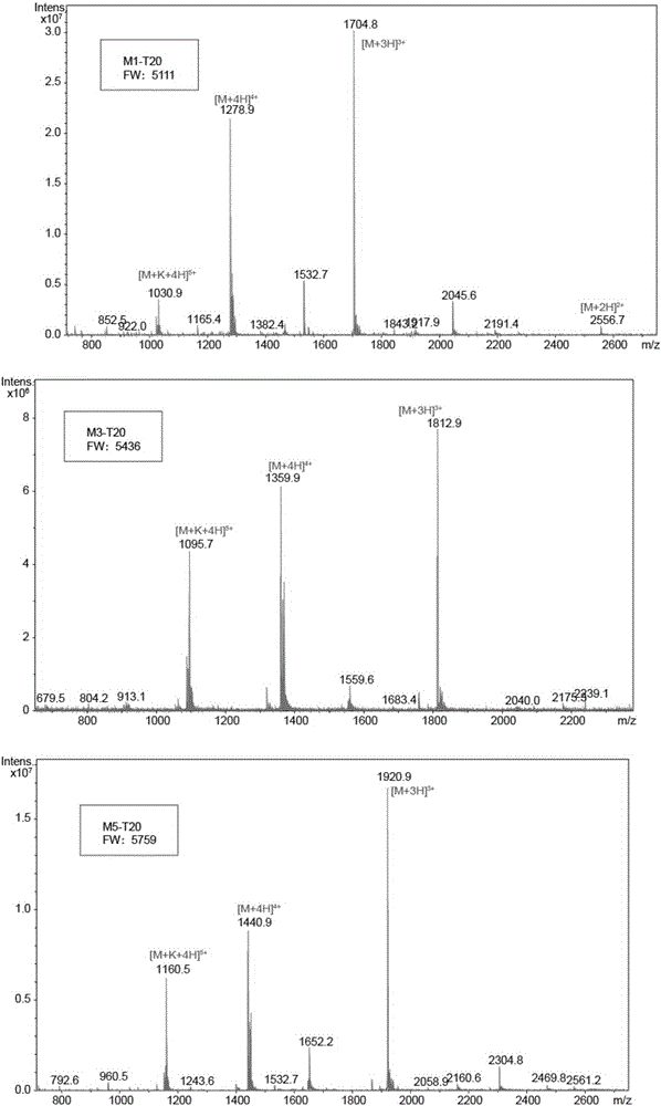 Double-target anti-HIV (anti-human immunodeficiency virus) glycopeptide compound and application thereof