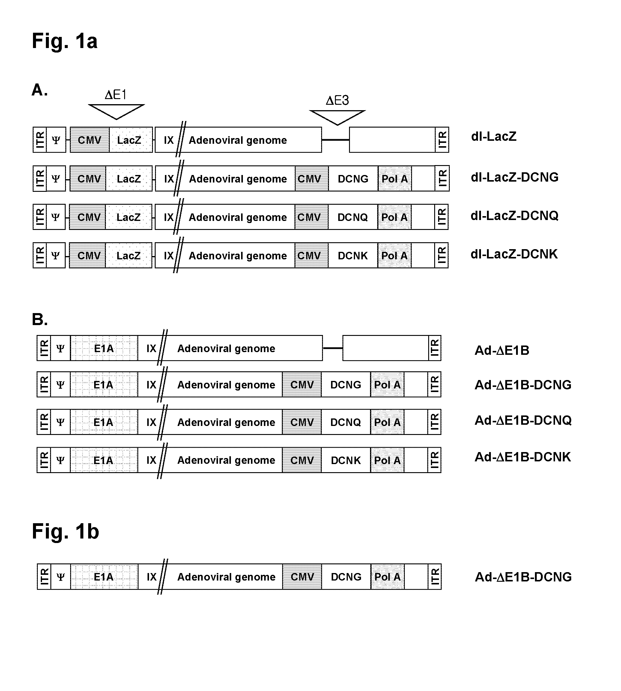 Decorin Gene Delivery System And Cancer Treatment