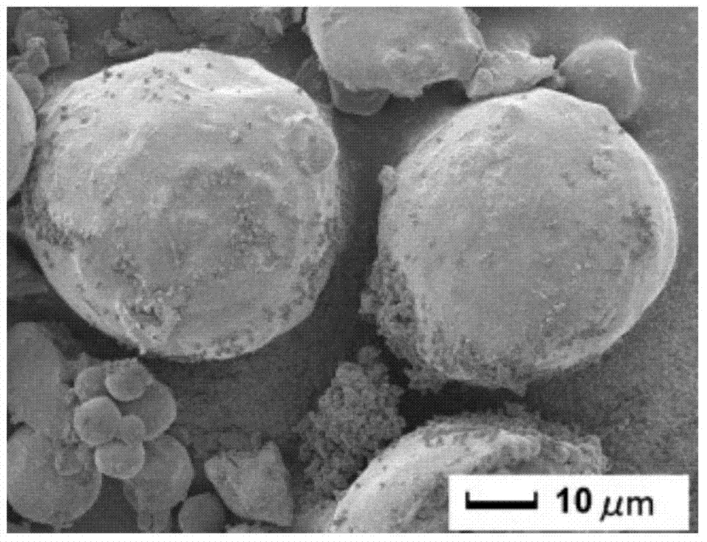 Preparation method of magnetic chitosan composite microsphere adsorbent