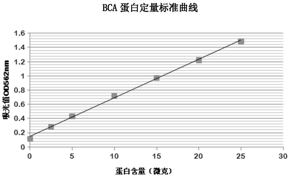 Application of cd4+t lymphocyte characteristic protein in identifying latent tuberculosis infection and active pulmonary tuberculosis