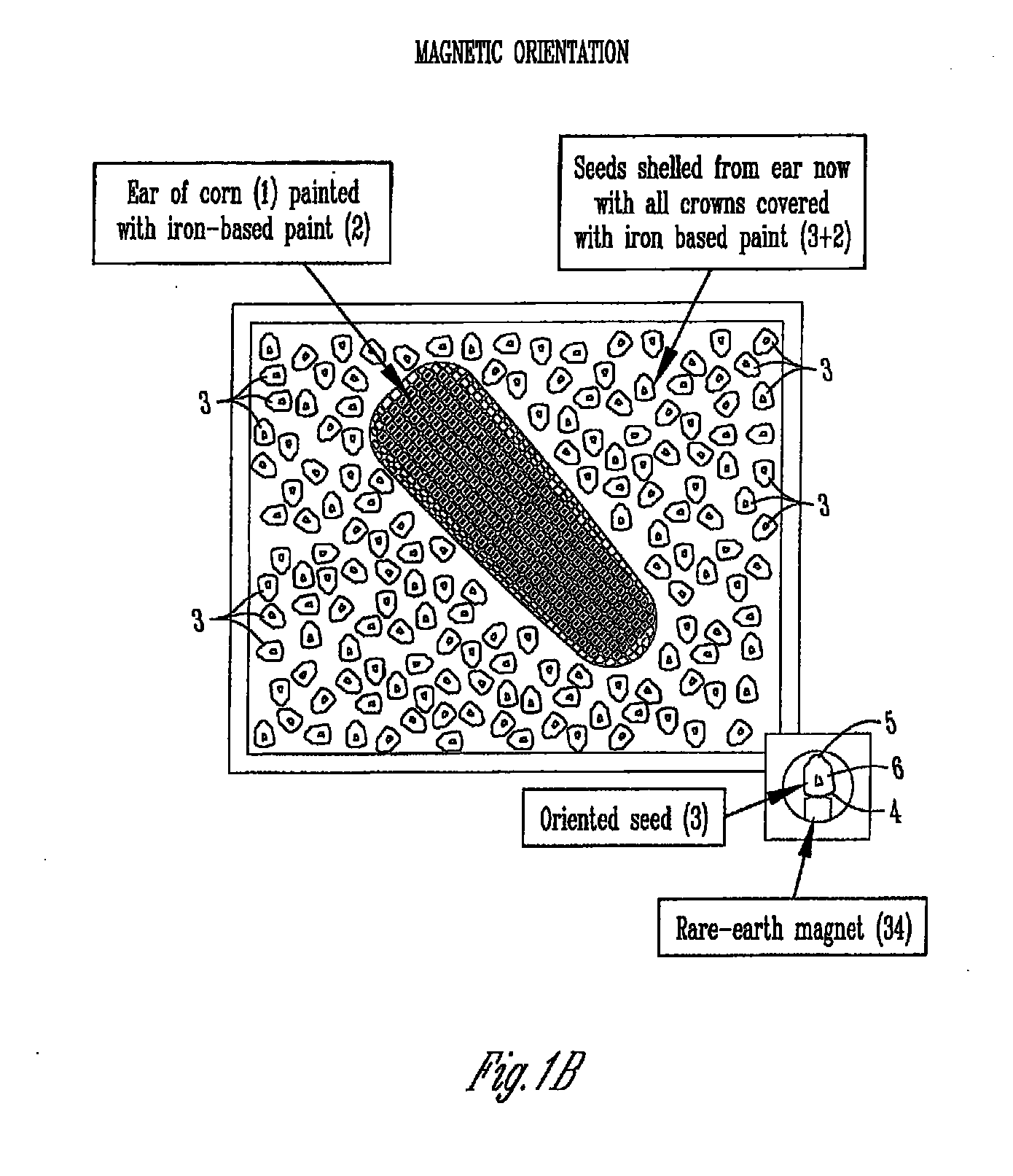 Apparatus, method and system for handling, positioning, and/or automatically orienting objects
