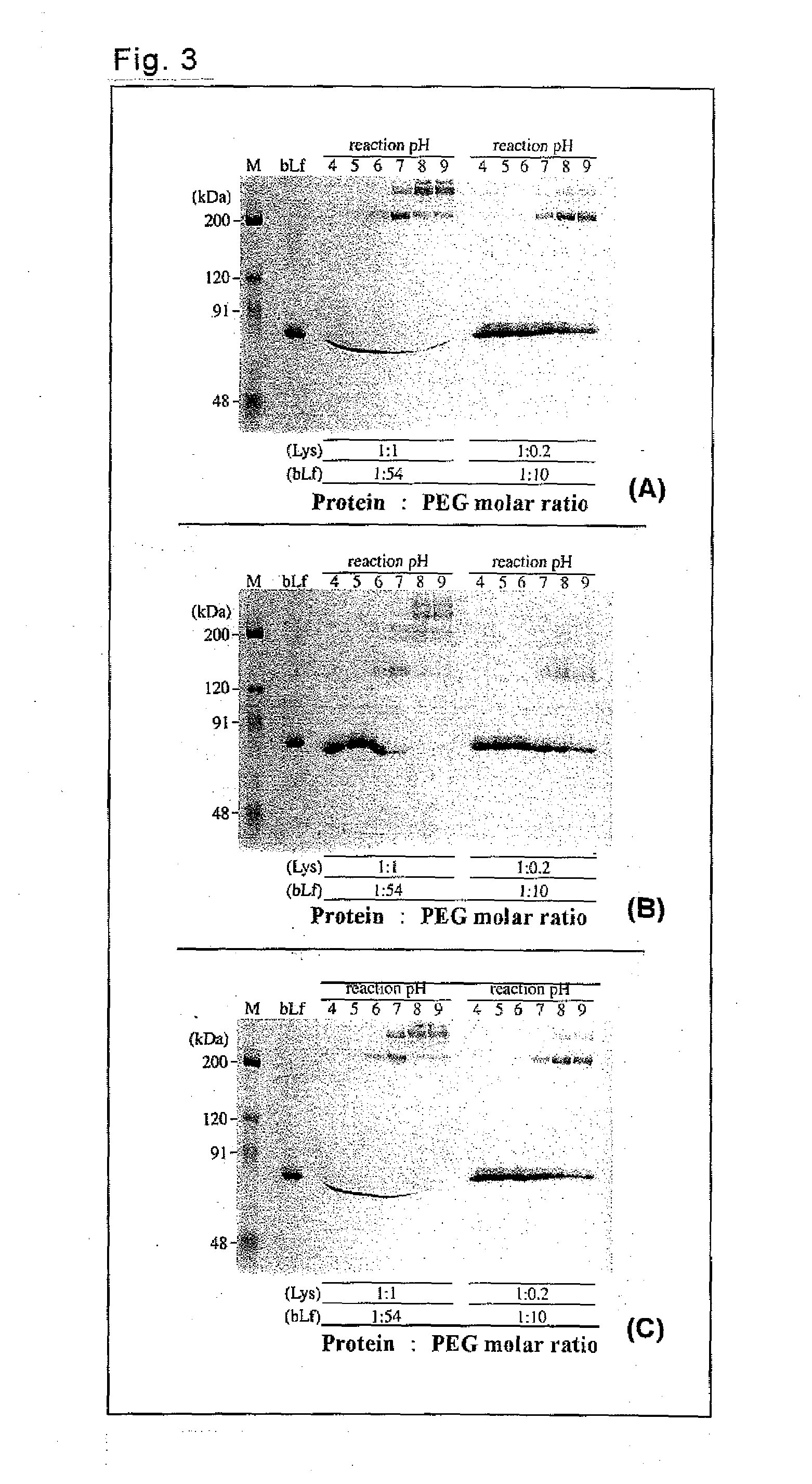 Lactoferrin complex and method of producing the same