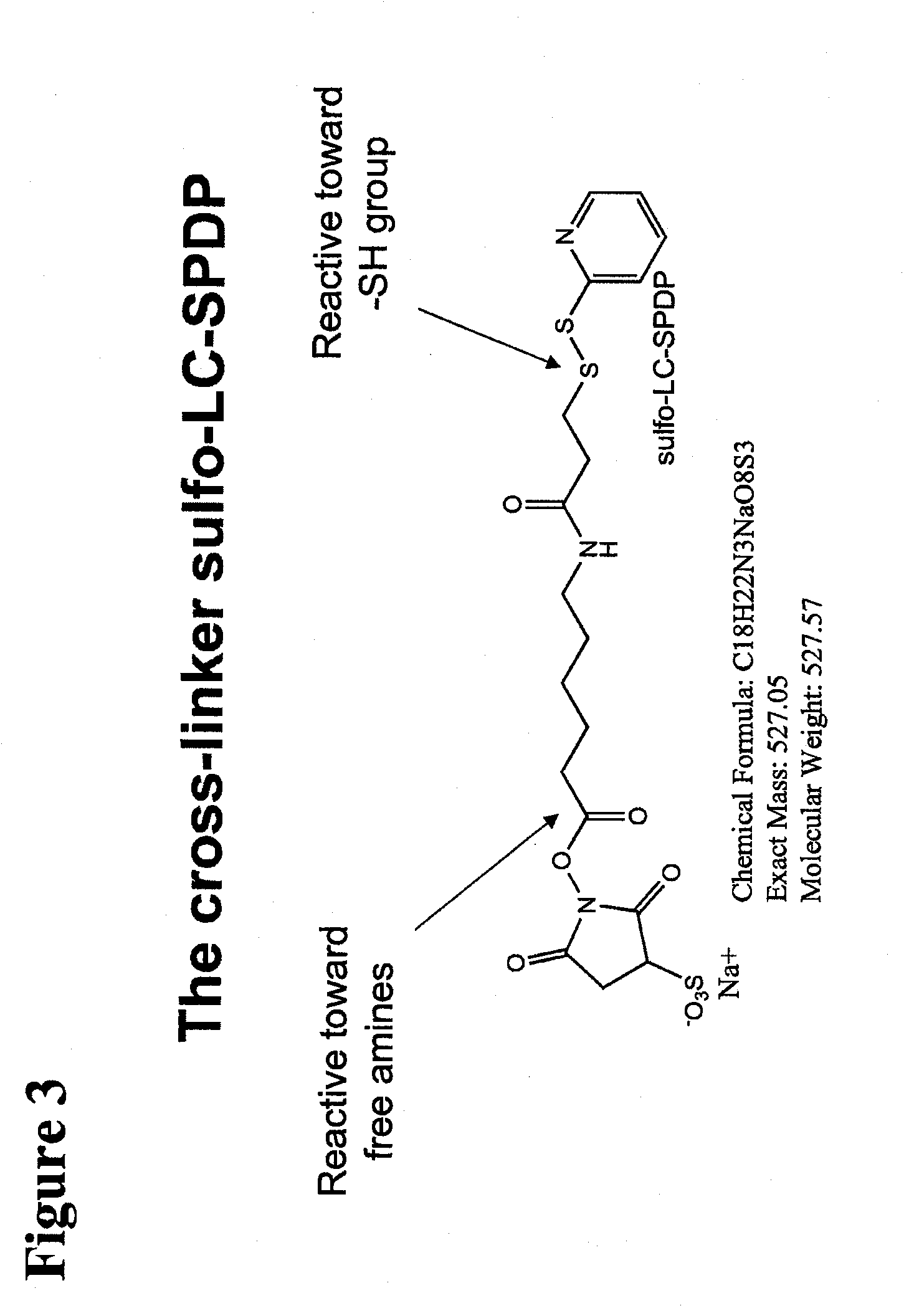 Polypeptide-nucleic acid conjugates and uses thereof