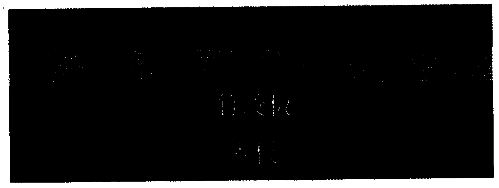 A kind of artificial ski blanket based on resin material and its assembly method