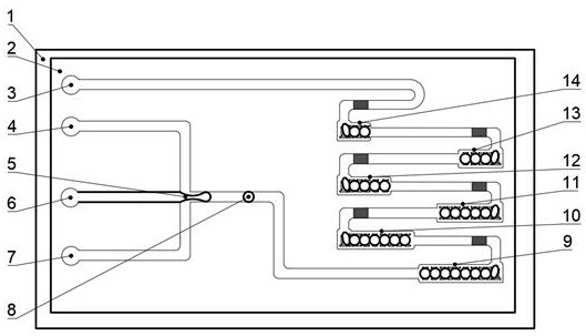 A microfluidic device and screening method for tumor cell screening based on droplet registration