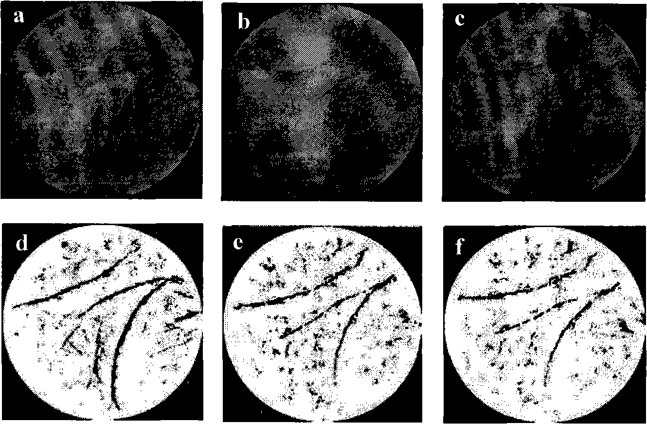 Method for acquiring palm print characteristics as well as corresponding personal identification method based on palm print