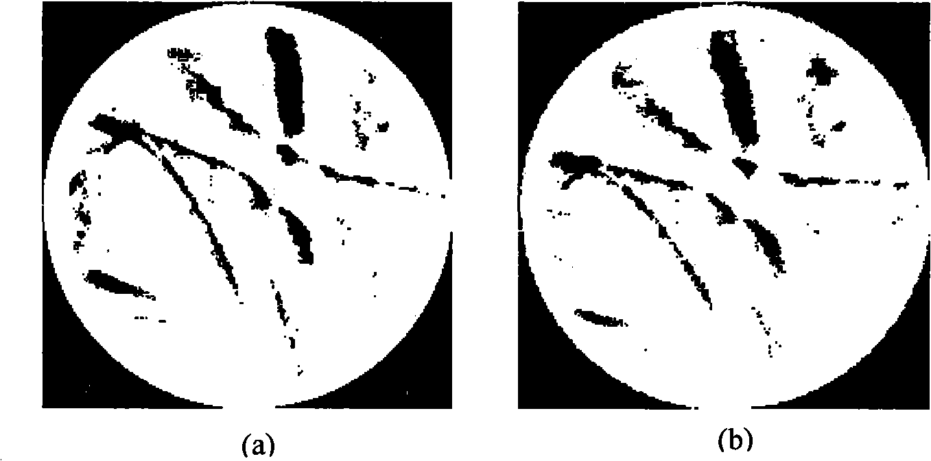 Method for acquiring palm print characteristics as well as corresponding personal identification method based on palm print