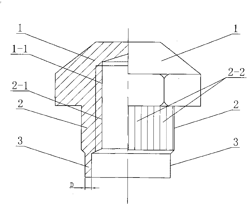 Embedded nut for connecting overlapping elements