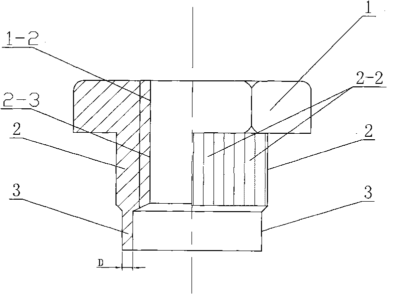 Embedded nut for connecting overlapping elements