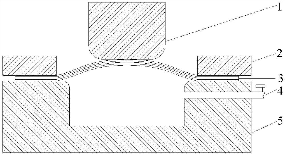 Paperboard stamping forming device and method