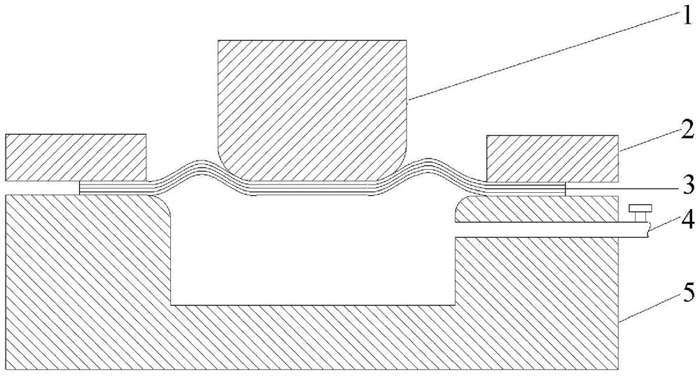 Paperboard stamping forming device and method