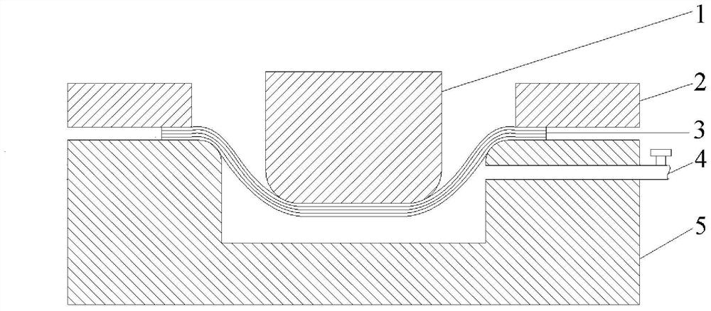 Paperboard stamping forming device and method