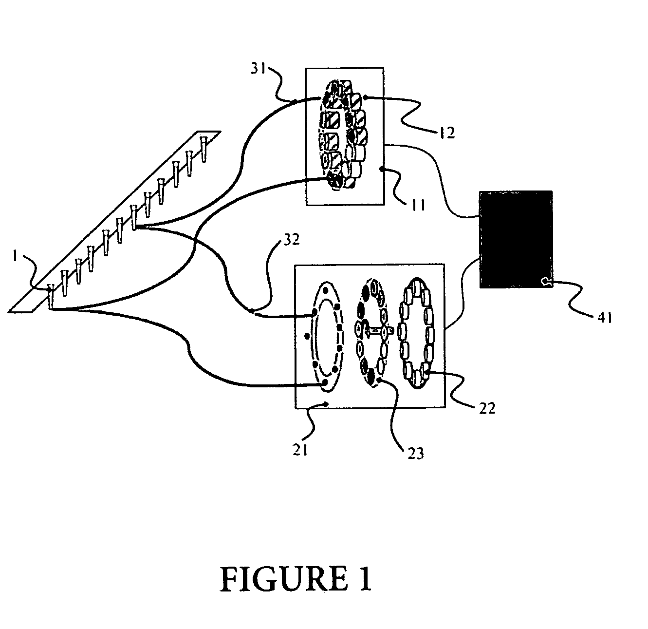 Apparatus for emitting and detecting light in a nucleic acid amplification reaction
