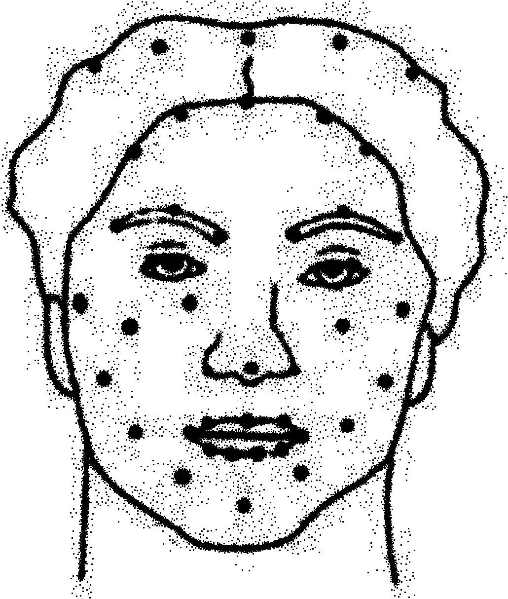 Data driving face expression synthesis method based on Laplace transformation