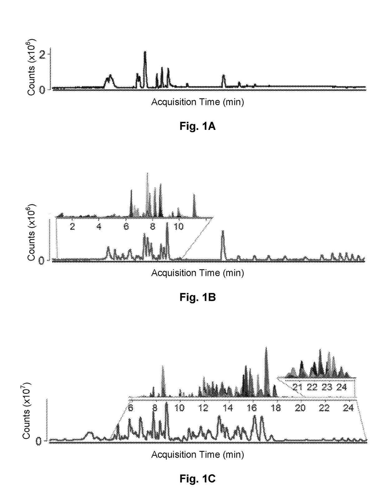 Method of isolating sphingolipids from cordyceps and their use