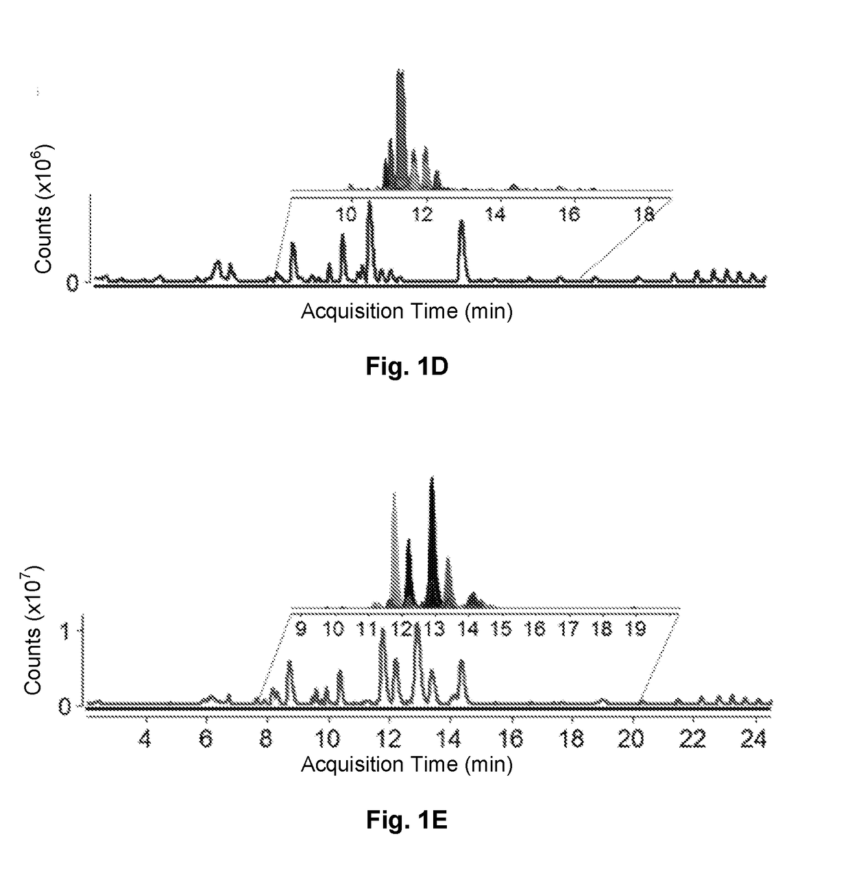 Method of isolating sphingolipids from cordyceps and their use