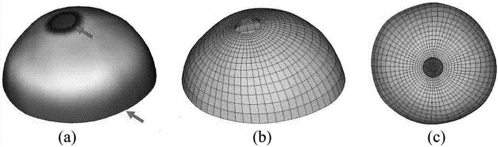 Anisotropic finite element modeling method based on harmonic field for patient-specific sclera
