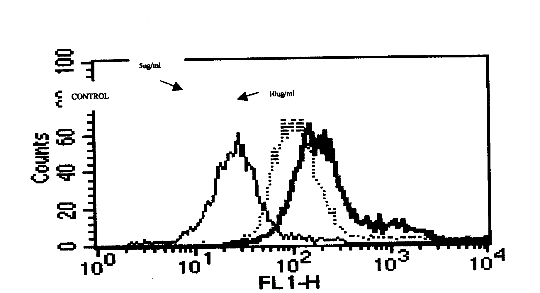 Recombinant solvent protein, its production and use