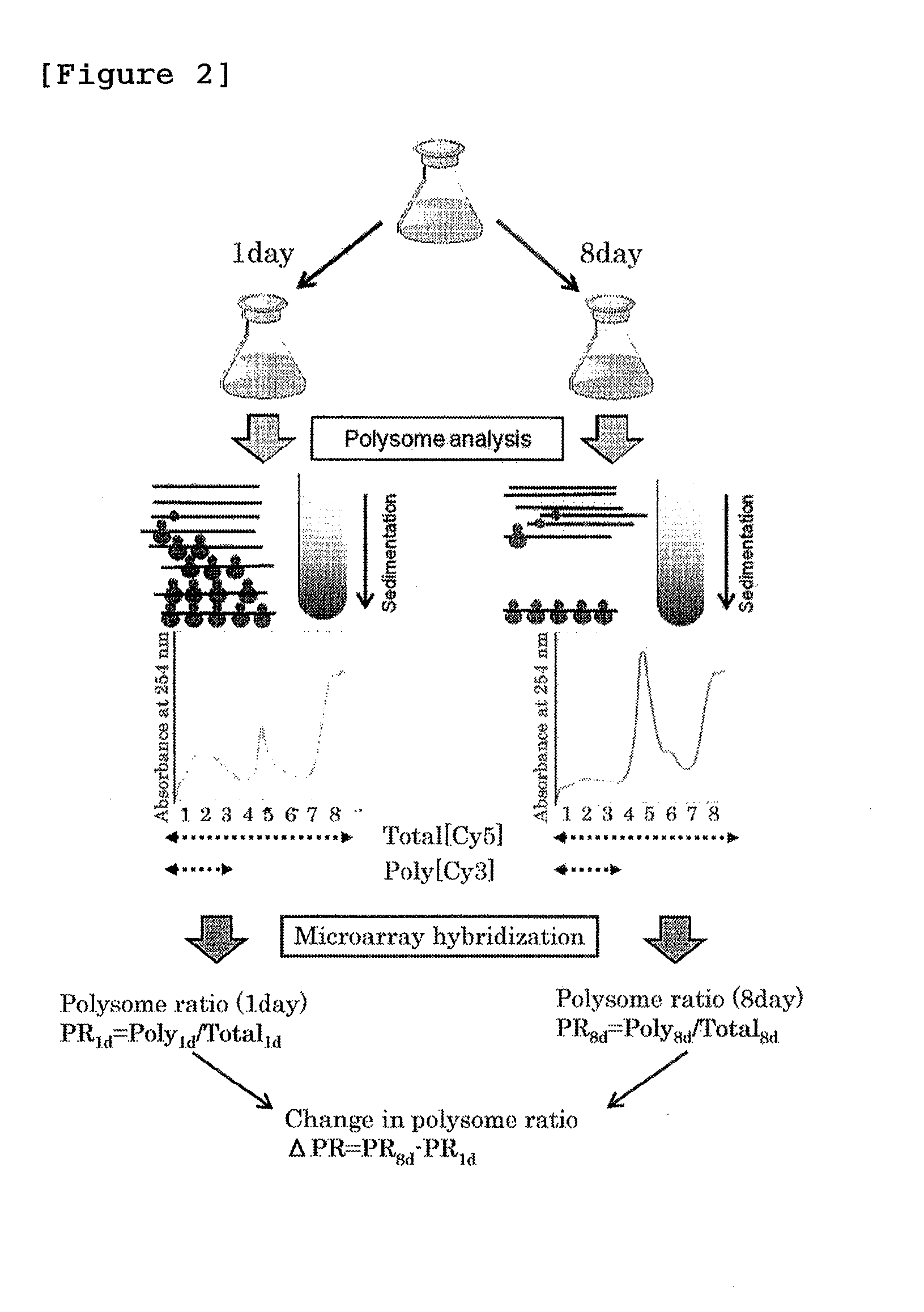 Protein production method using transformed plant cells