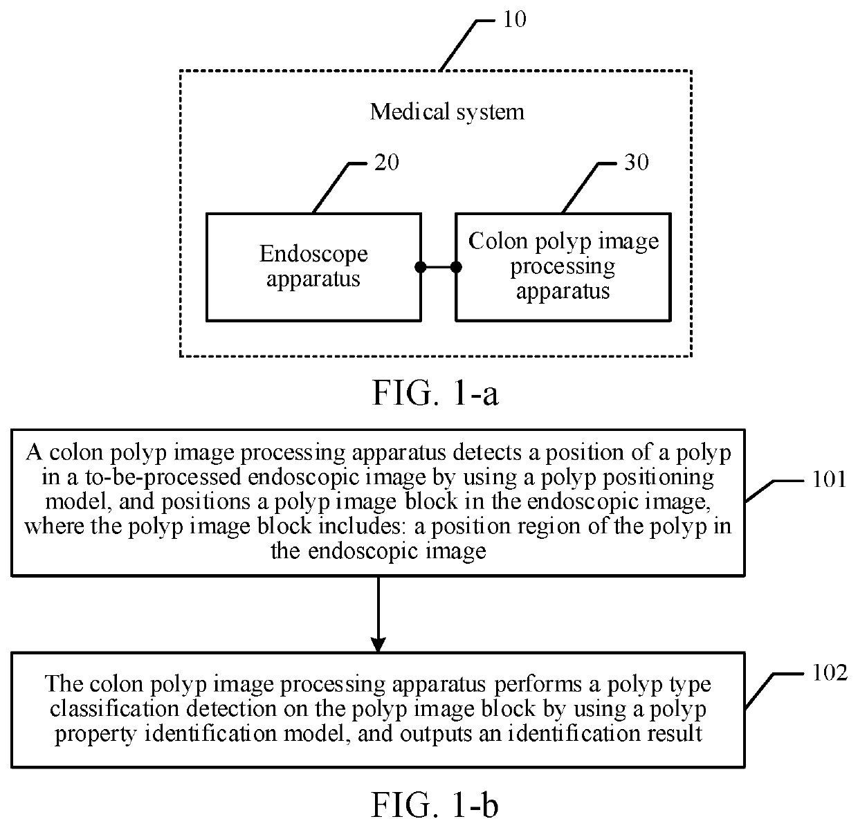 Colon polyp image processing method and apparatus, and system