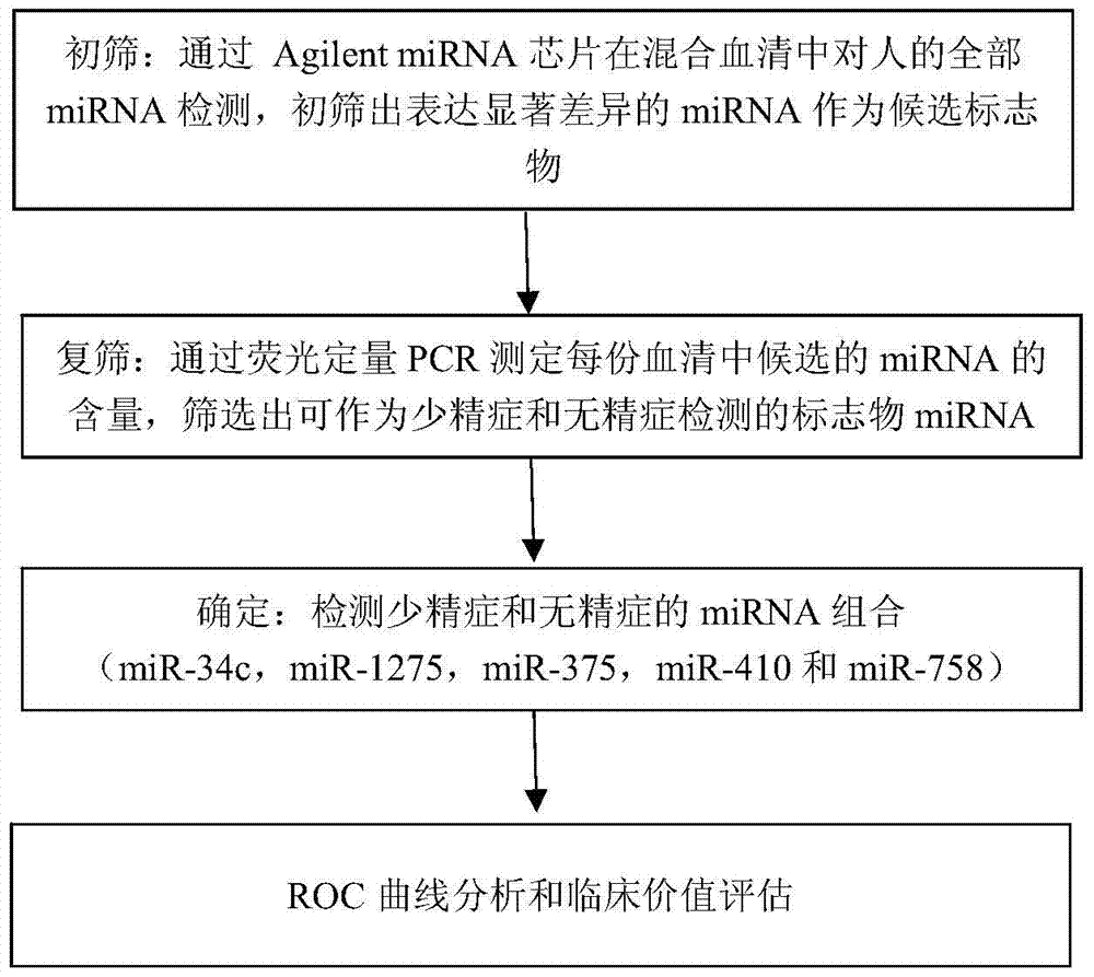 A kind of serum miRNA biomarker composition and application