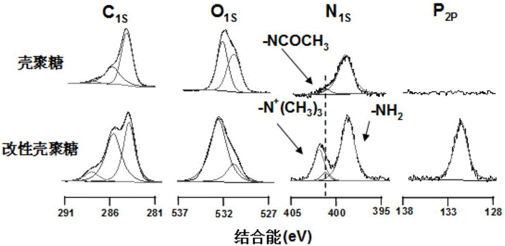 Preparation method of aldehyde-containing phosphorylcholine polymer and dopamine cross-linked coating