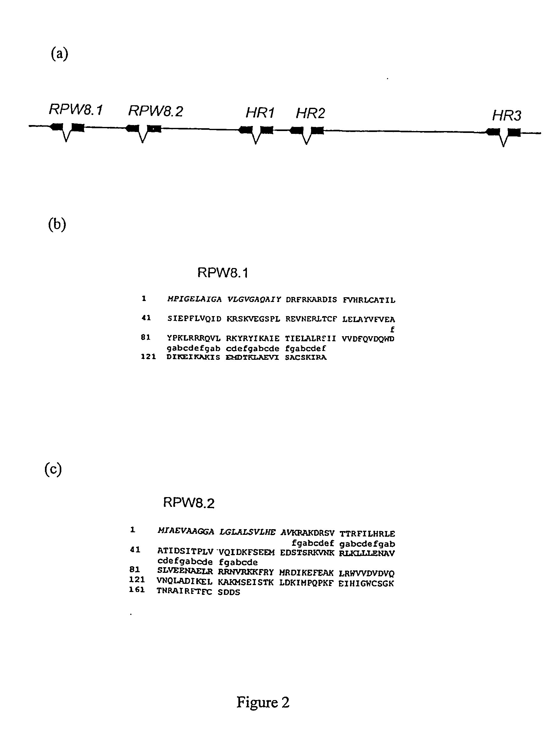 Plant resistance gene