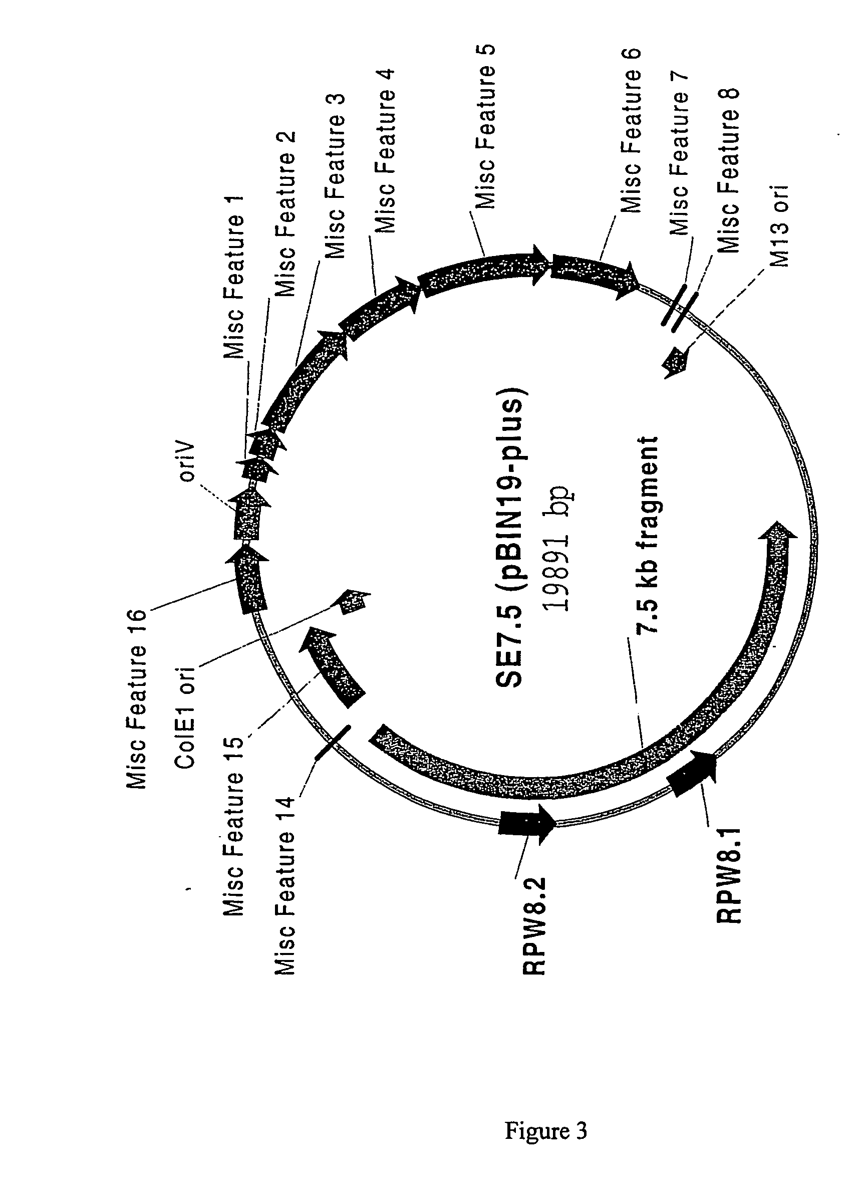 Plant resistance gene