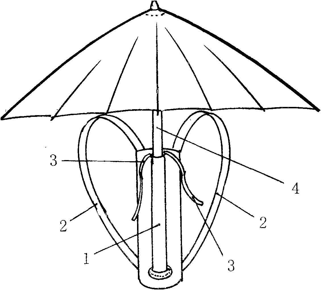 Carrying umbrella device