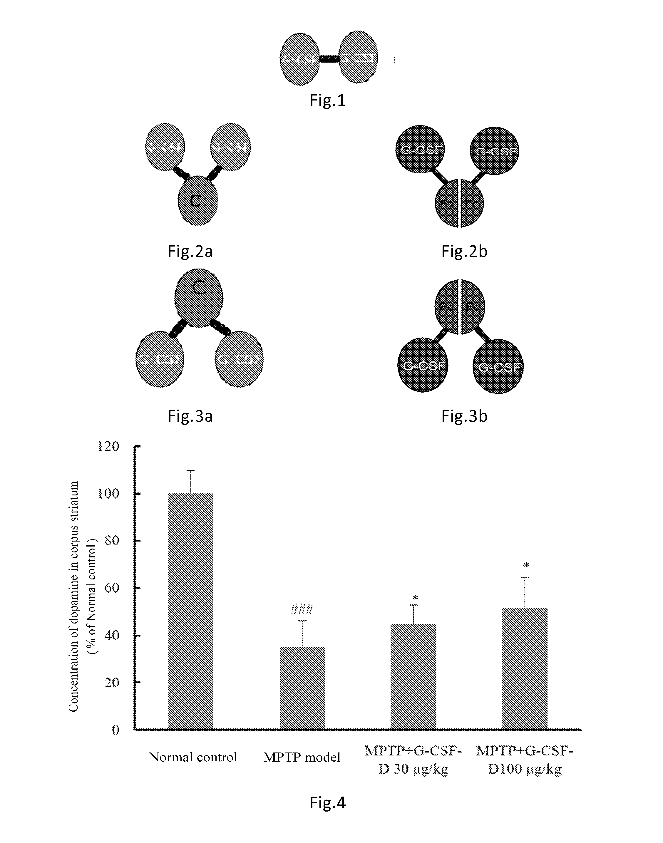 Use of g-csf dimer in preparation of medicament for treatment of neurodegenerative diseases