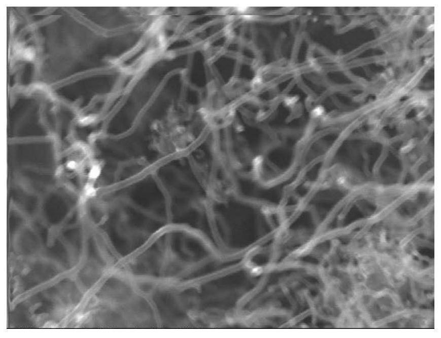 A kind of preparation method and application of ni-cnt catalyst for hydrogenated dimer acid production