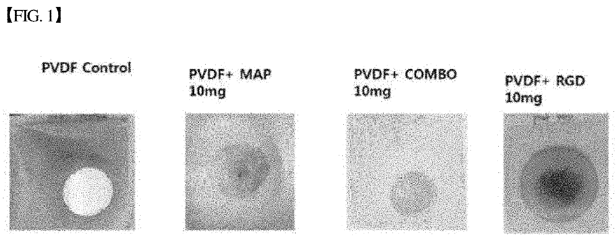 Three-dimensional micro-environment structure for controlling cell behavior, three-dimensional surface for controlling cell behavior, and method for manufacturing array and three-dimensional micro-environment structure