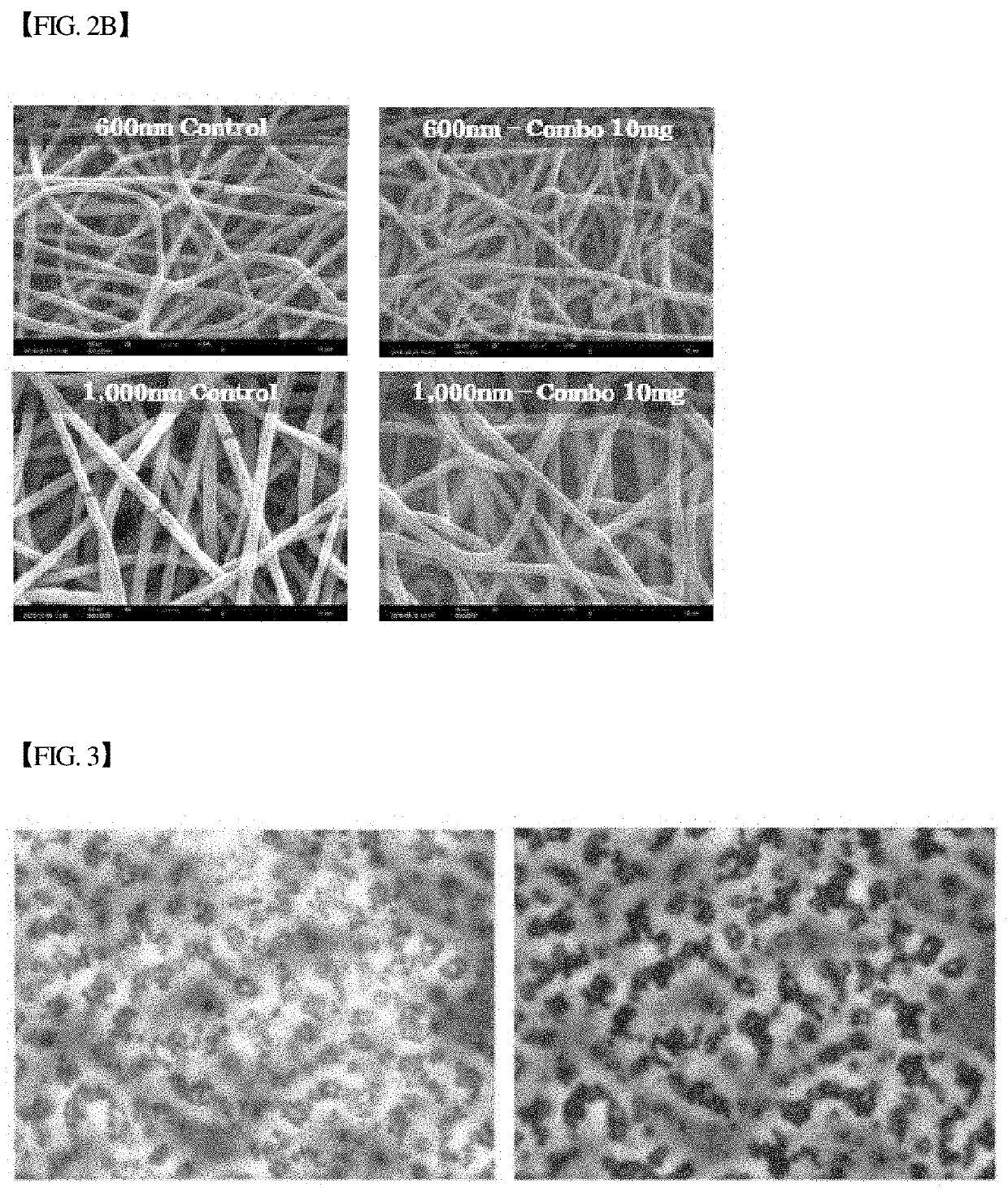 Three-dimensional micro-environment structure for controlling cell behavior, three-dimensional surface for controlling cell behavior, and method for manufacturing array and three-dimensional micro-environment structure