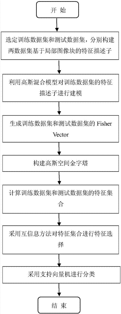 Image classification method based on local image block descriptor and Fischer vector