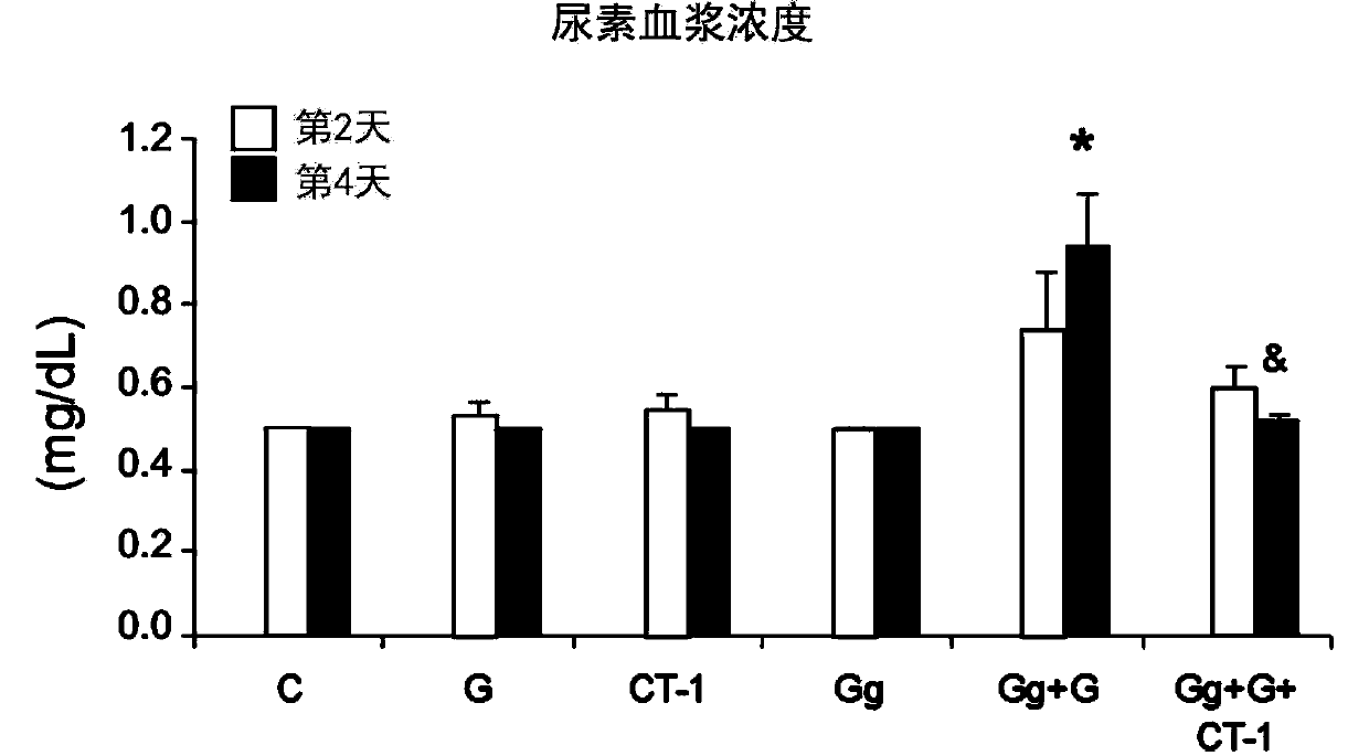 Use of cardiotrophin-1 for the treatment of kidney diseases