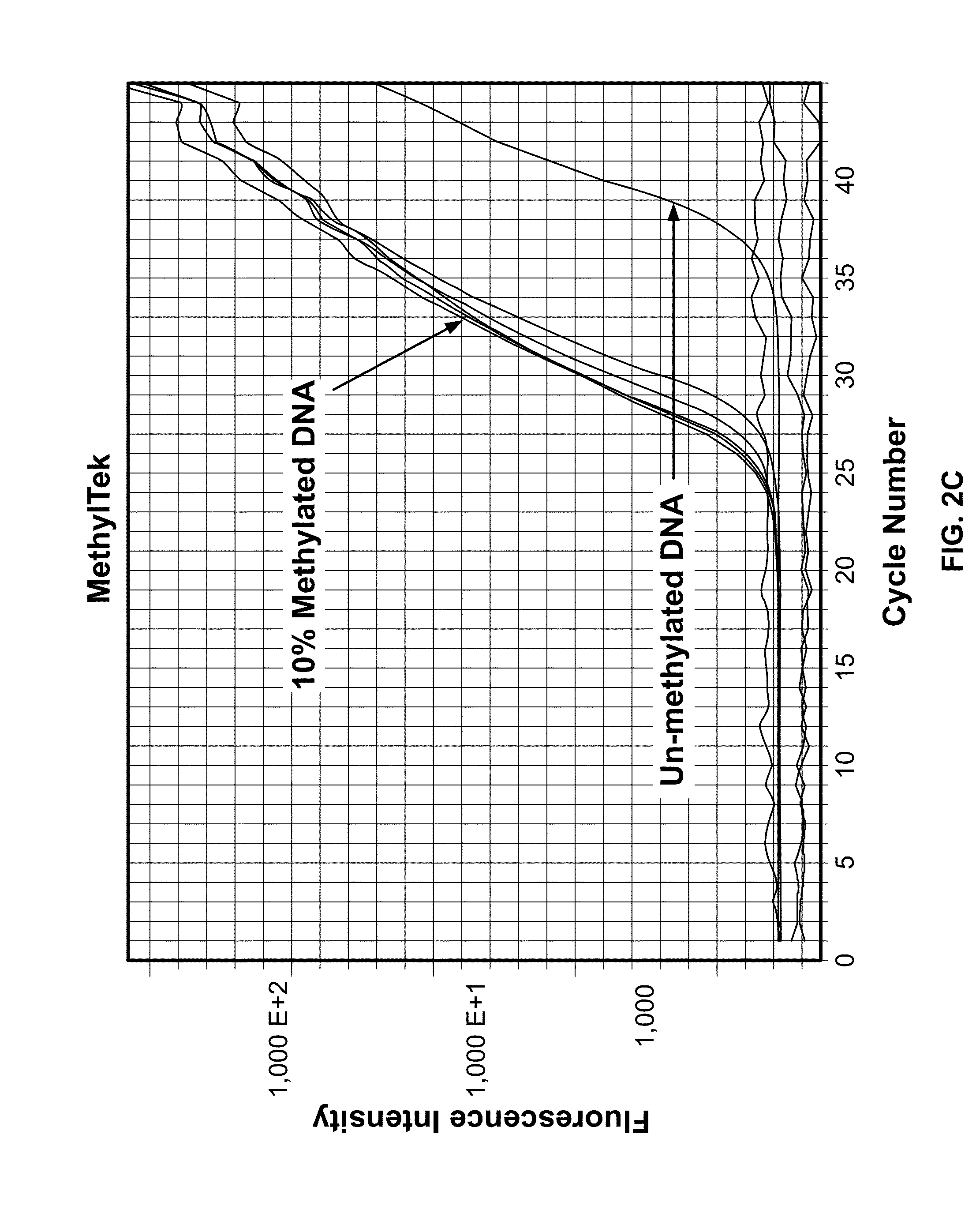 Assays, methods and compositions for diagnosing cancer