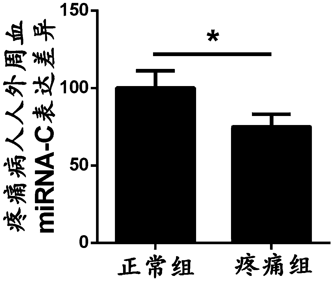 Application of miRNA-c compounds in the preparation of clinical diagnostic markers and therapeutic drugs for chronic pain diseases