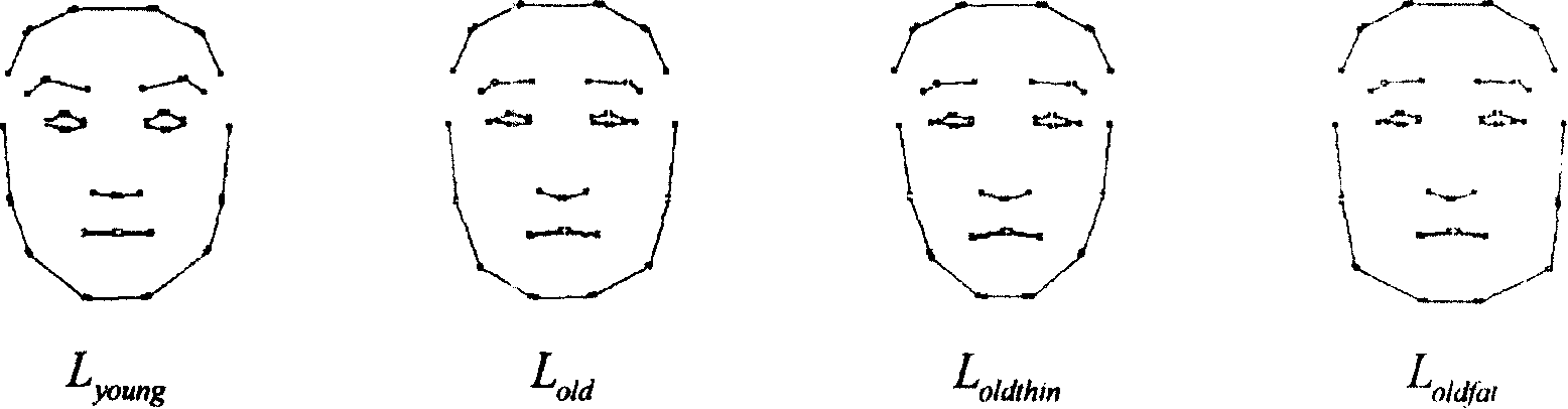 Human face image age changing method based on average face and senile proportional image