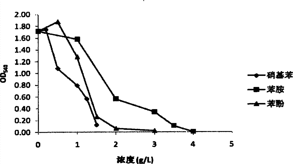 Method for culturing microbial strain for degrading industrial waste water