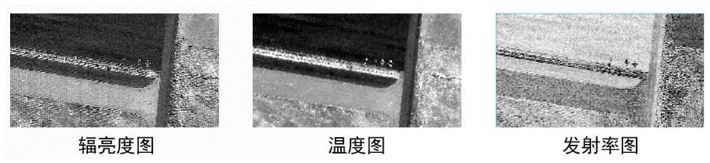 Thermal Infrared Hyperspectral Anomaly Detection Method in Emissivity Domain Based on Blocking and Low-rank Prior