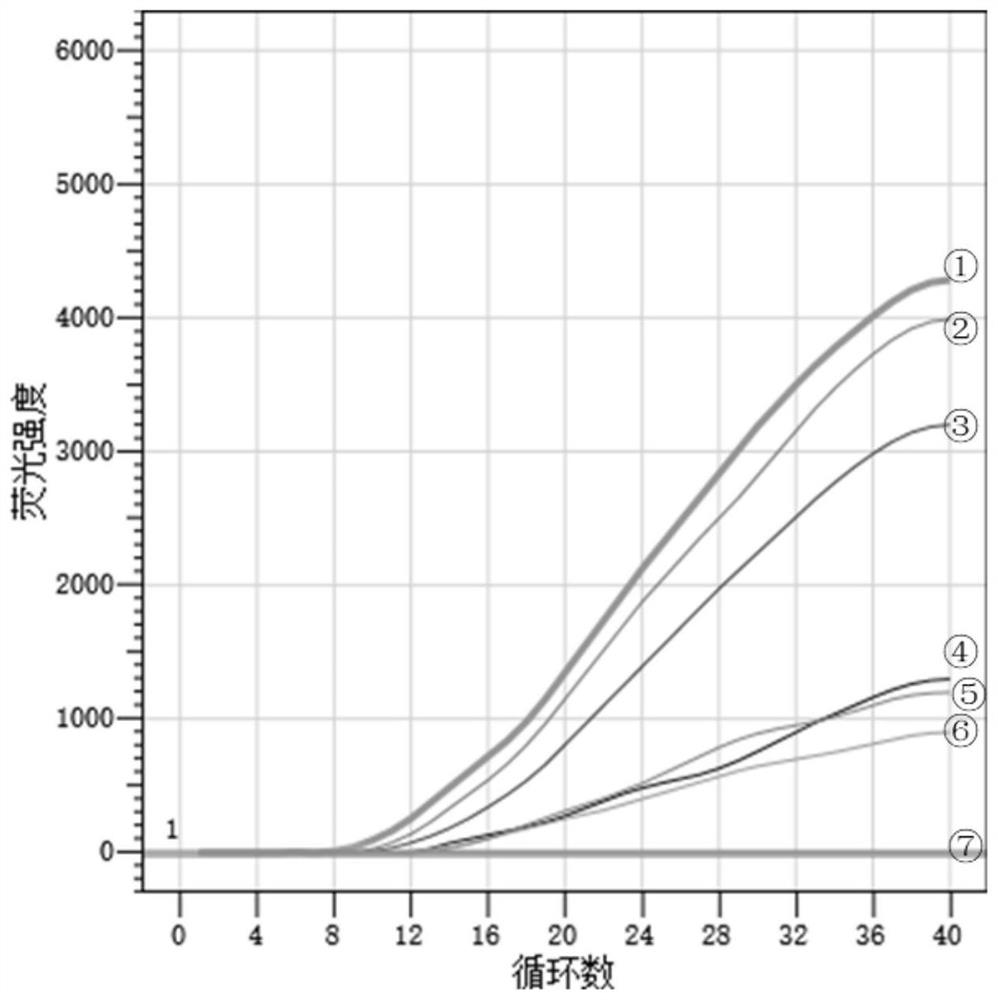 Primer-probe, kit and rapid detection method for detecting novel coronavirus