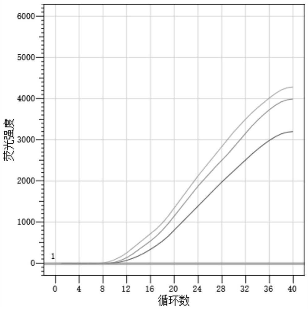 Primer-probe, kit and rapid detection method for detecting novel coronavirus