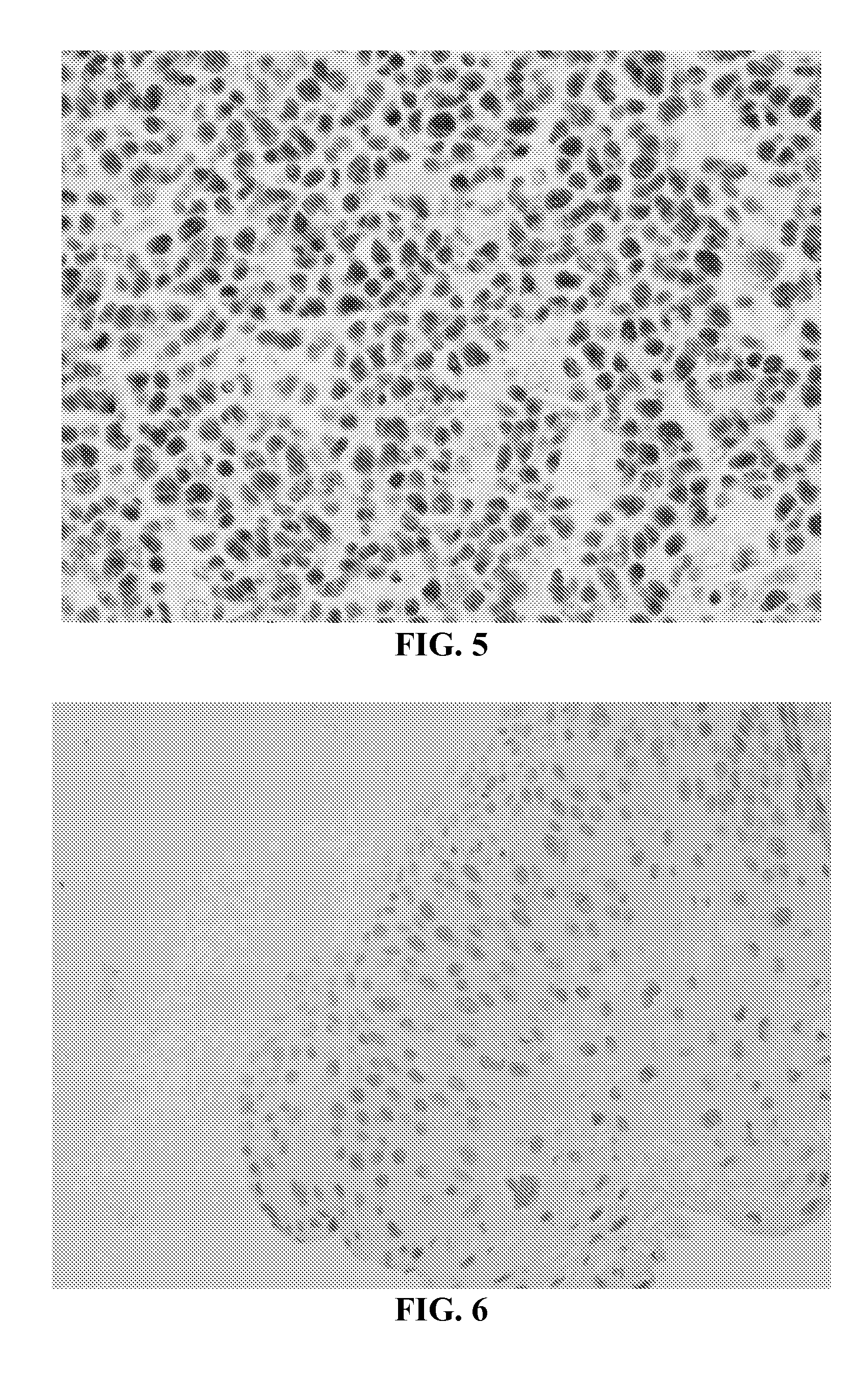 Methods and compositions for preparing samples for immunostaining
