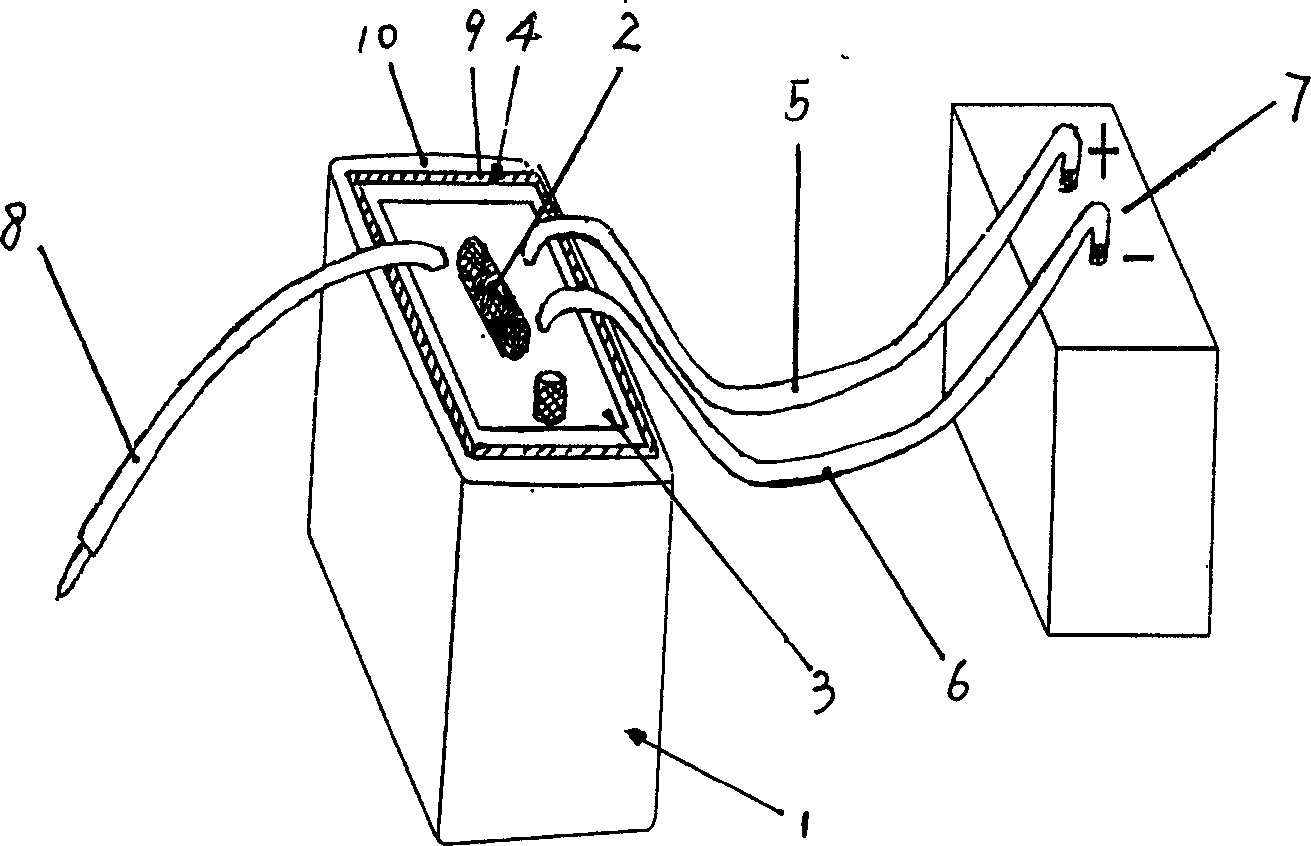 Ion generating apparatus
