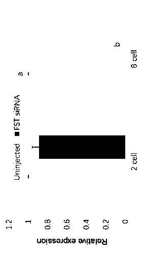 Method for completely silencing target gene of embryo by improving microinjection of siRNA