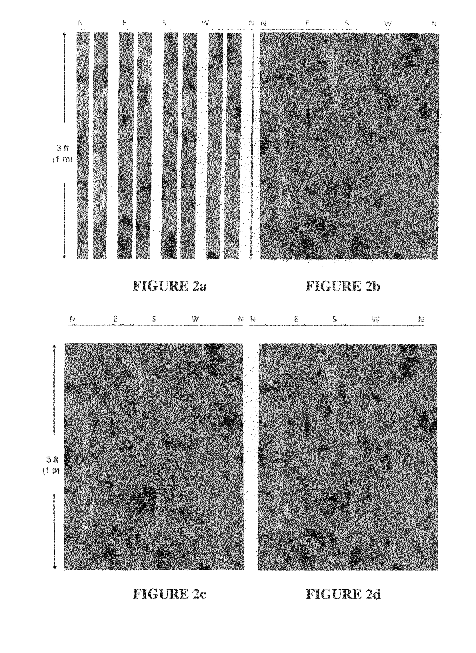 Method to generate numerical pseudocores using borehole images, digital rock samples, and multi-point statistics