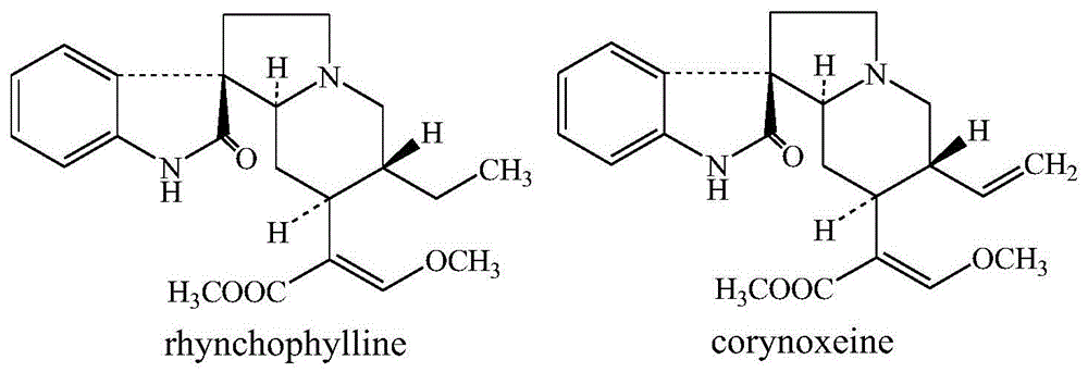 A kind of preparation method of high-purity rhynchophylline monomer