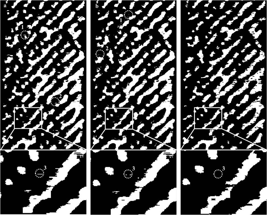 Abrasive particle contour evaluation method for large-abrasive-particle superhard abrasive grinding wheel